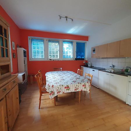 Zentral Gelegene Wohnung Mit Grossem Garten 인터라켄 외부 사진
