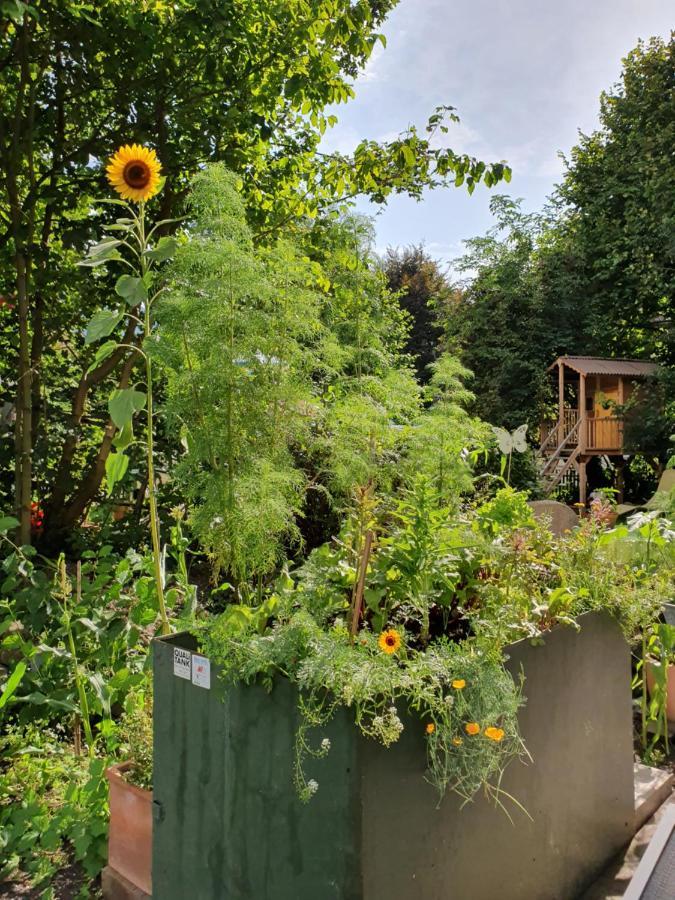 Zentral Gelegene Wohnung Mit Grossem Garten 인터라켄 외부 사진